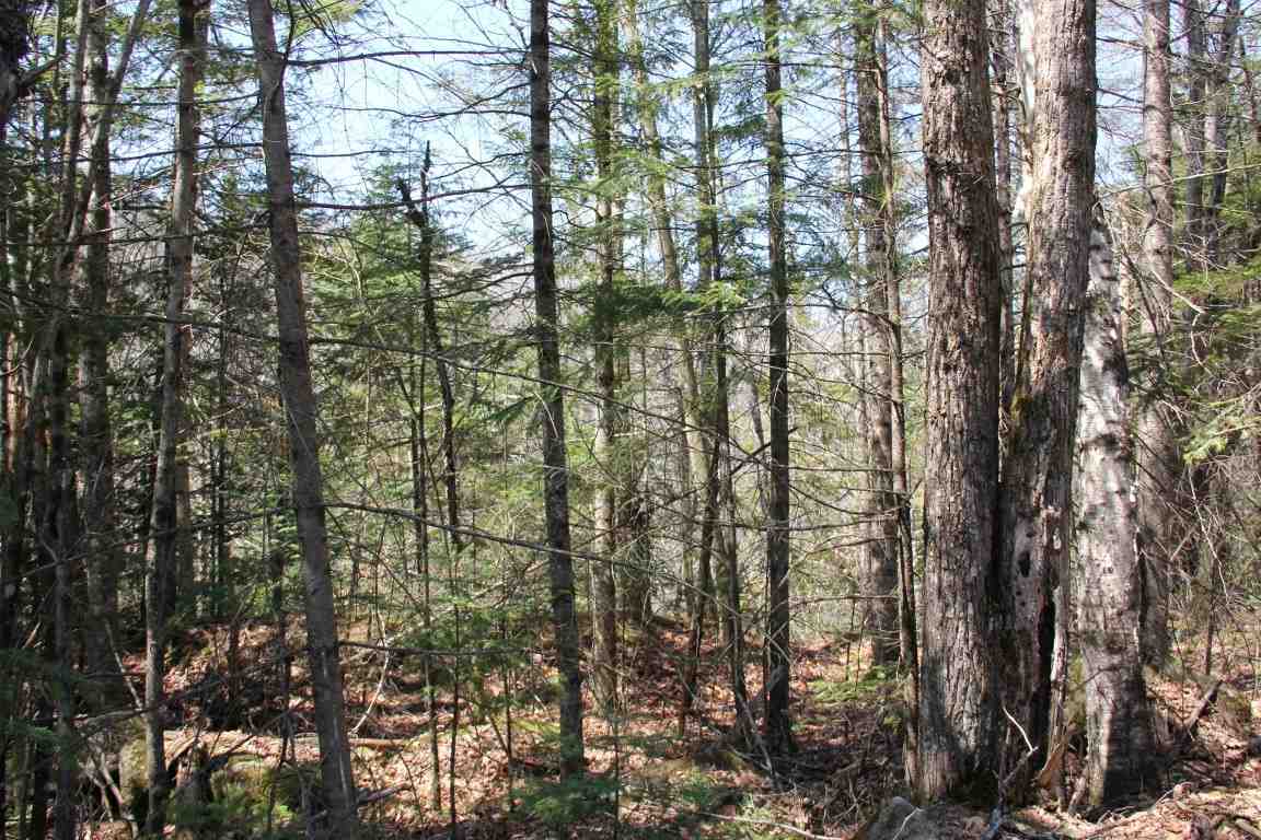 4501 Brook Road Plainfield, VT 05641 - Photo 5 of 17 Gallery Image 5