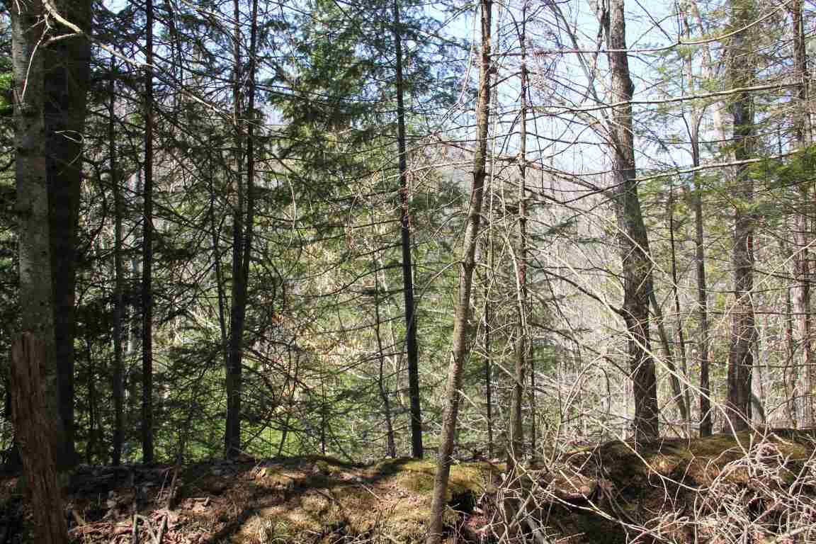 4501 Brook Road Plainfield, VT 05641 - Photo 6 of 17 Gallery Image 6