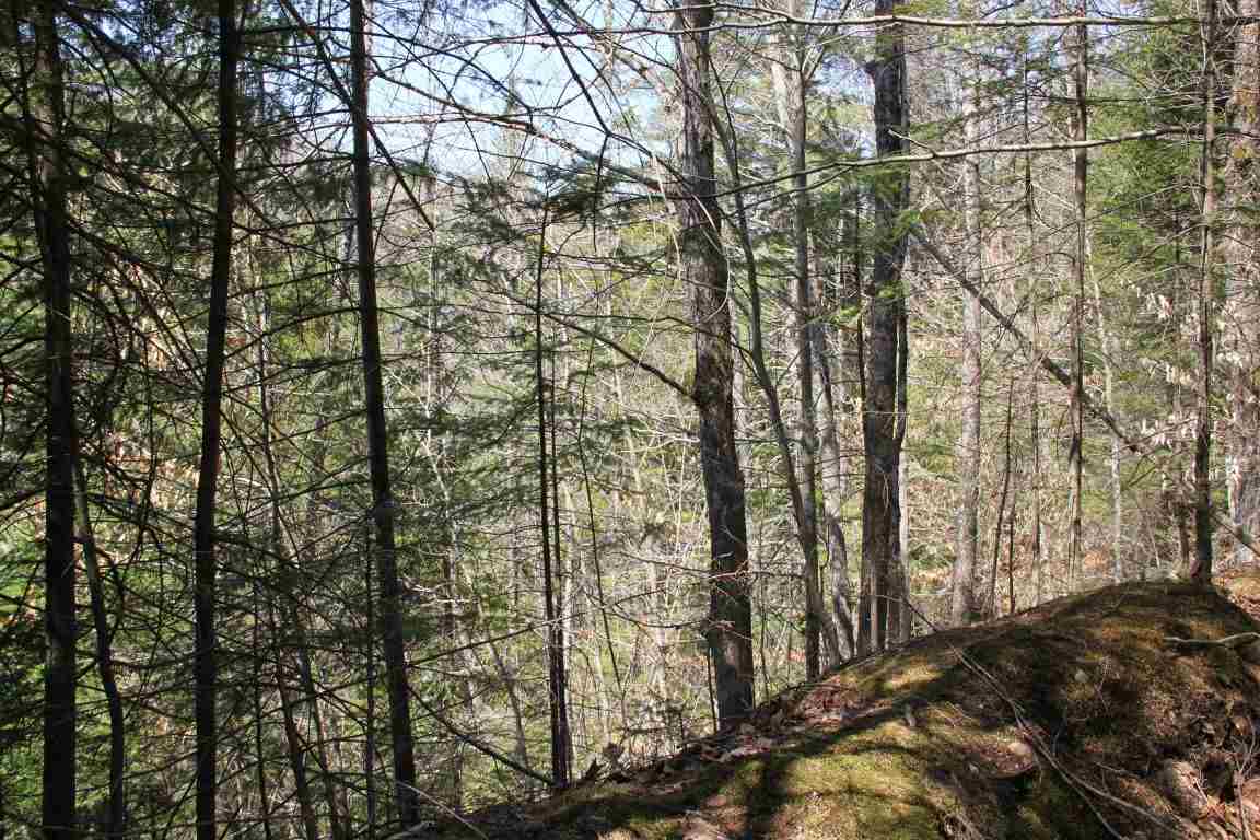 4501 Brook Road Plainfield, VT 05641 - Photo 7 of 17 Gallery Image 7