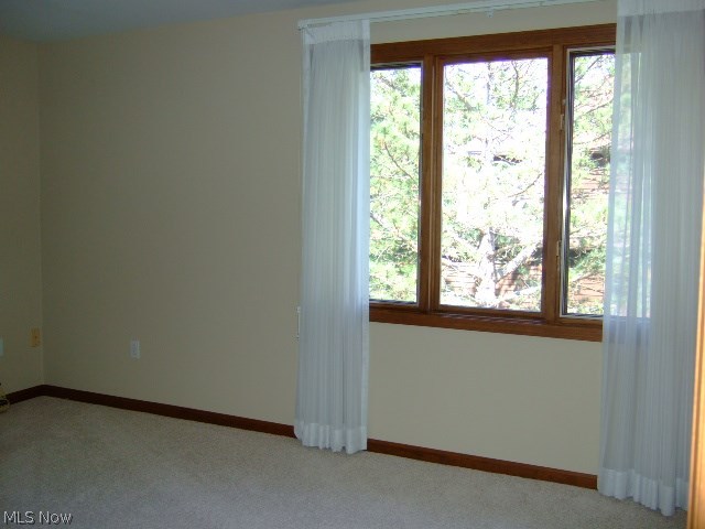 3850 Fenn Road Medina, OH 44256 - Photo 16 of 24