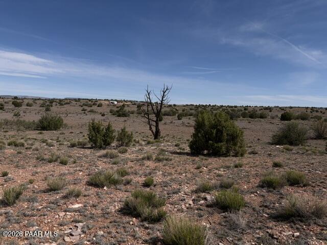 363- Via Dolorosa Road Seligman, AZ 86337 - Photo 7 of 12 IMG_1100