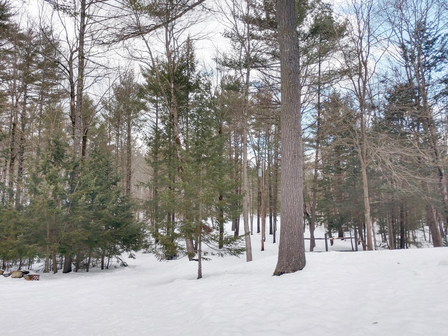 945 Lebanon Road Acton, ME 04001 - Photo 11 of 40 4 math