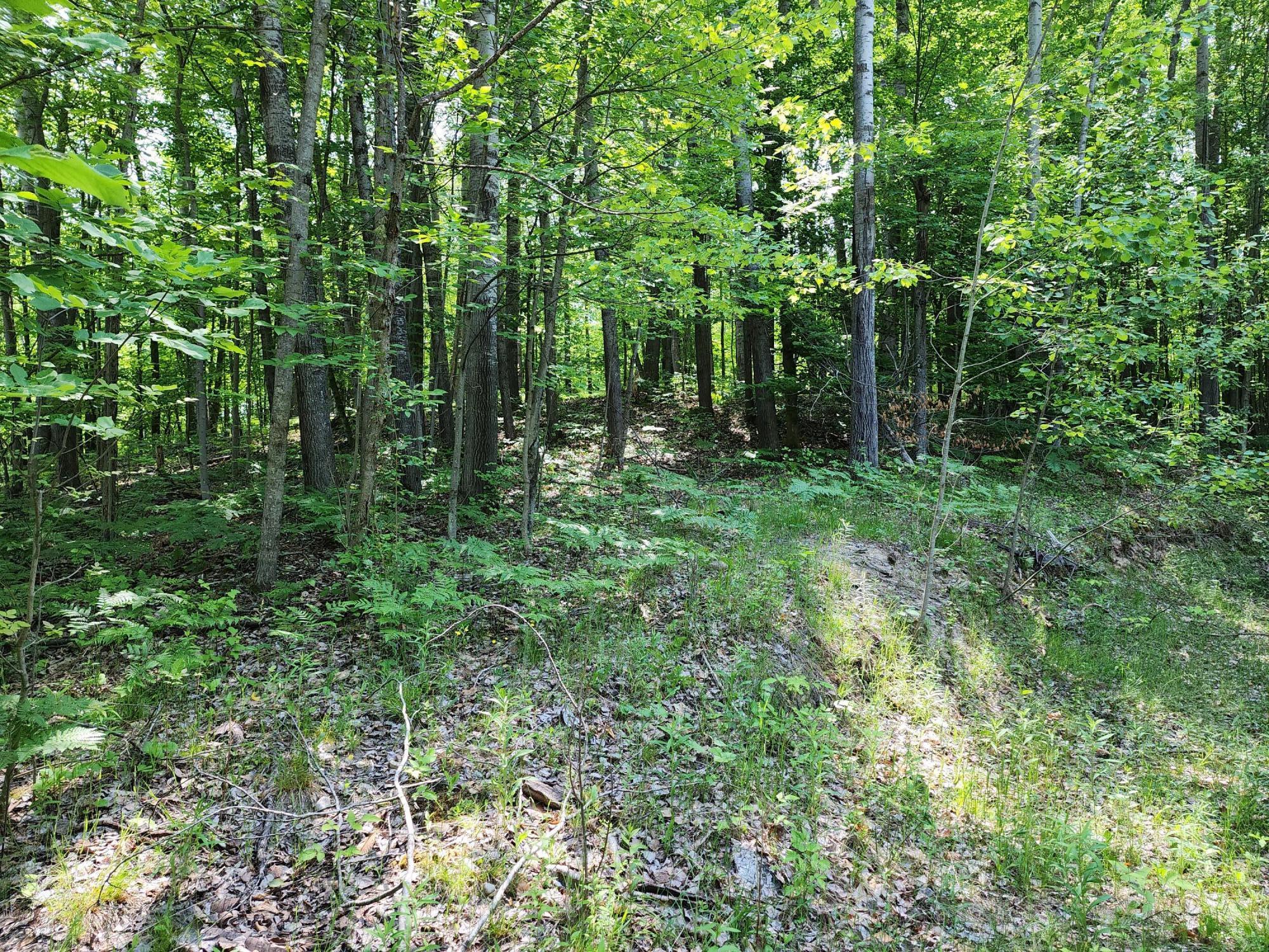 9291 16 Mile Road Rodney, MI 49342 - Photo 36 of 39 20230617_122521