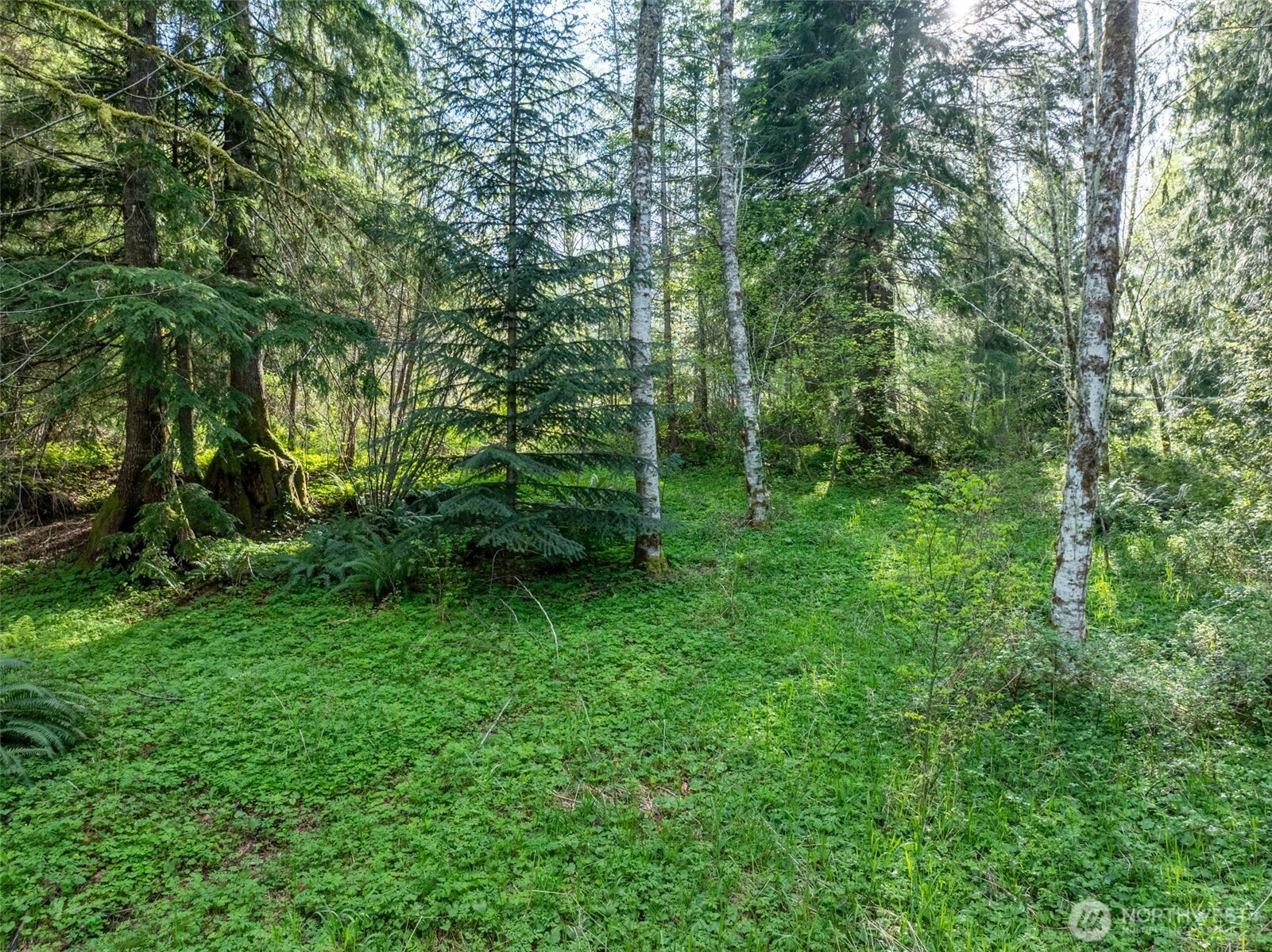 0 Davis Lake Road Morton, WA 98356 - Photo 23 of 25