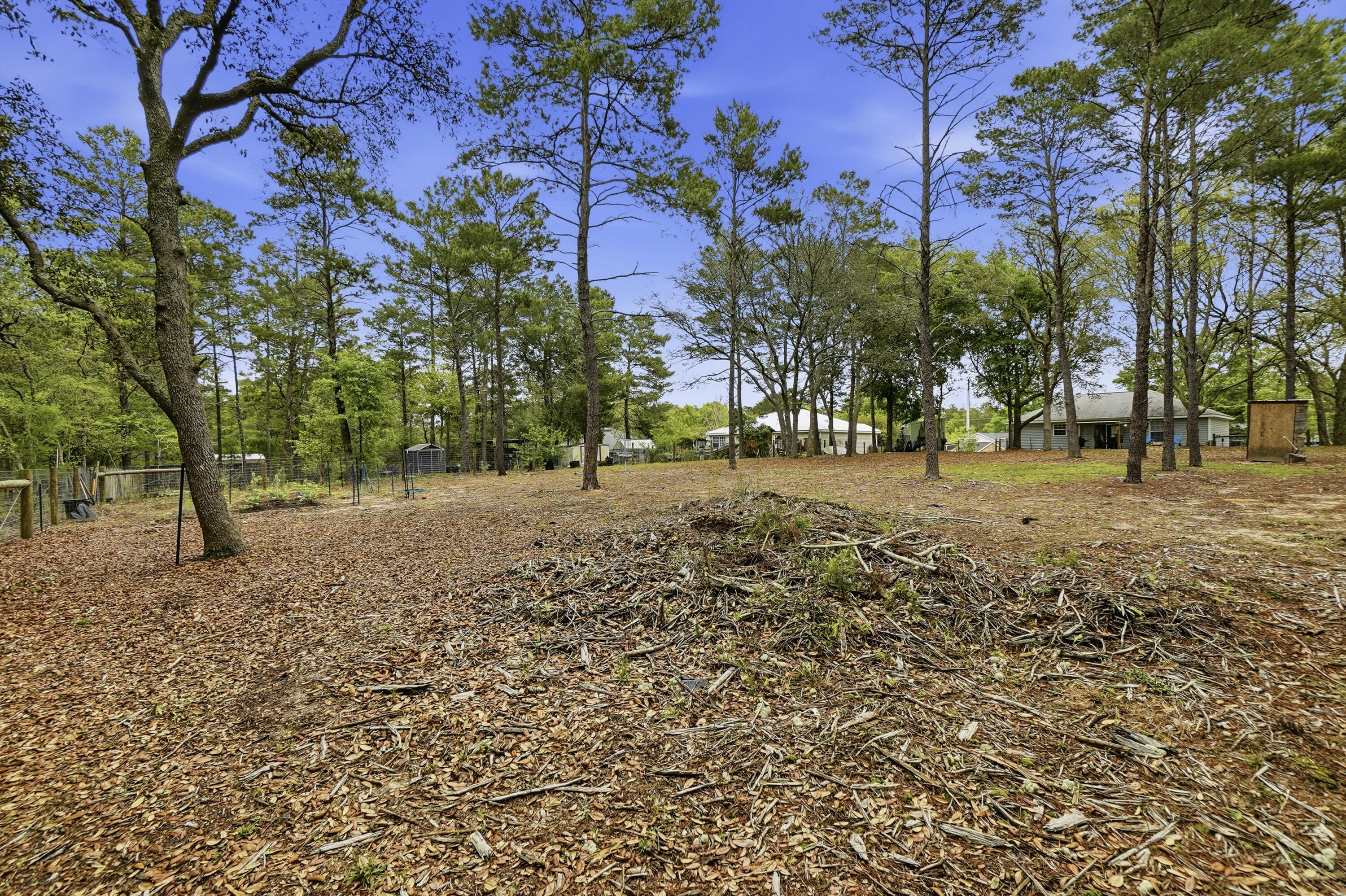 91 Oakridge Way DeFuniak Springs, FL 32433 - Photo 23 of 25 a view of road with trees
