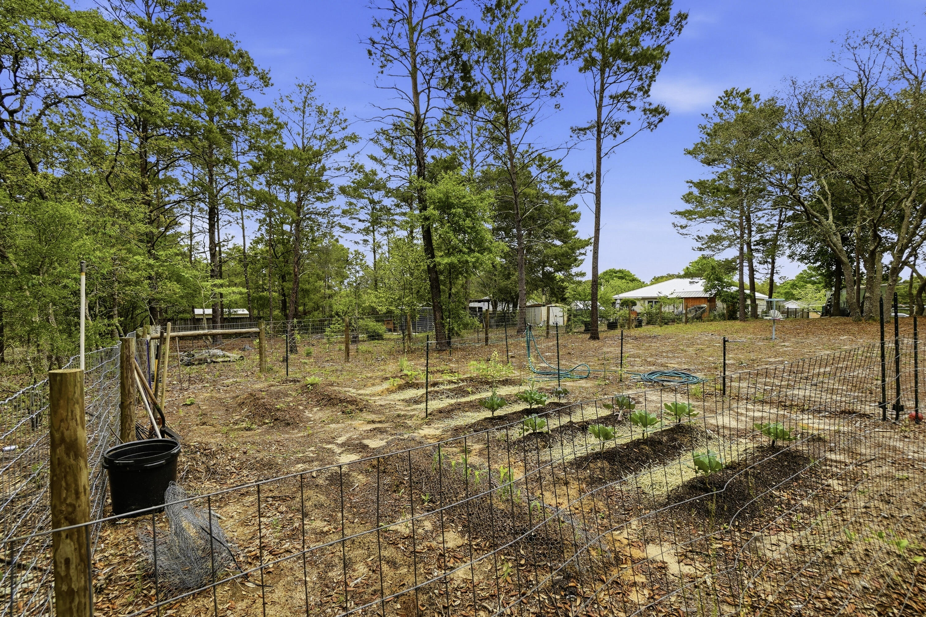 91 Oakridge Way DeFuniak Springs, FL 32433 - Photo 24 of 25 a view of yard