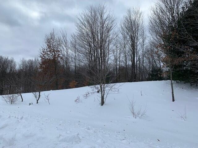 4648 West Pierce Road Shelby, MI 49455 - Photo 7 of 7 1