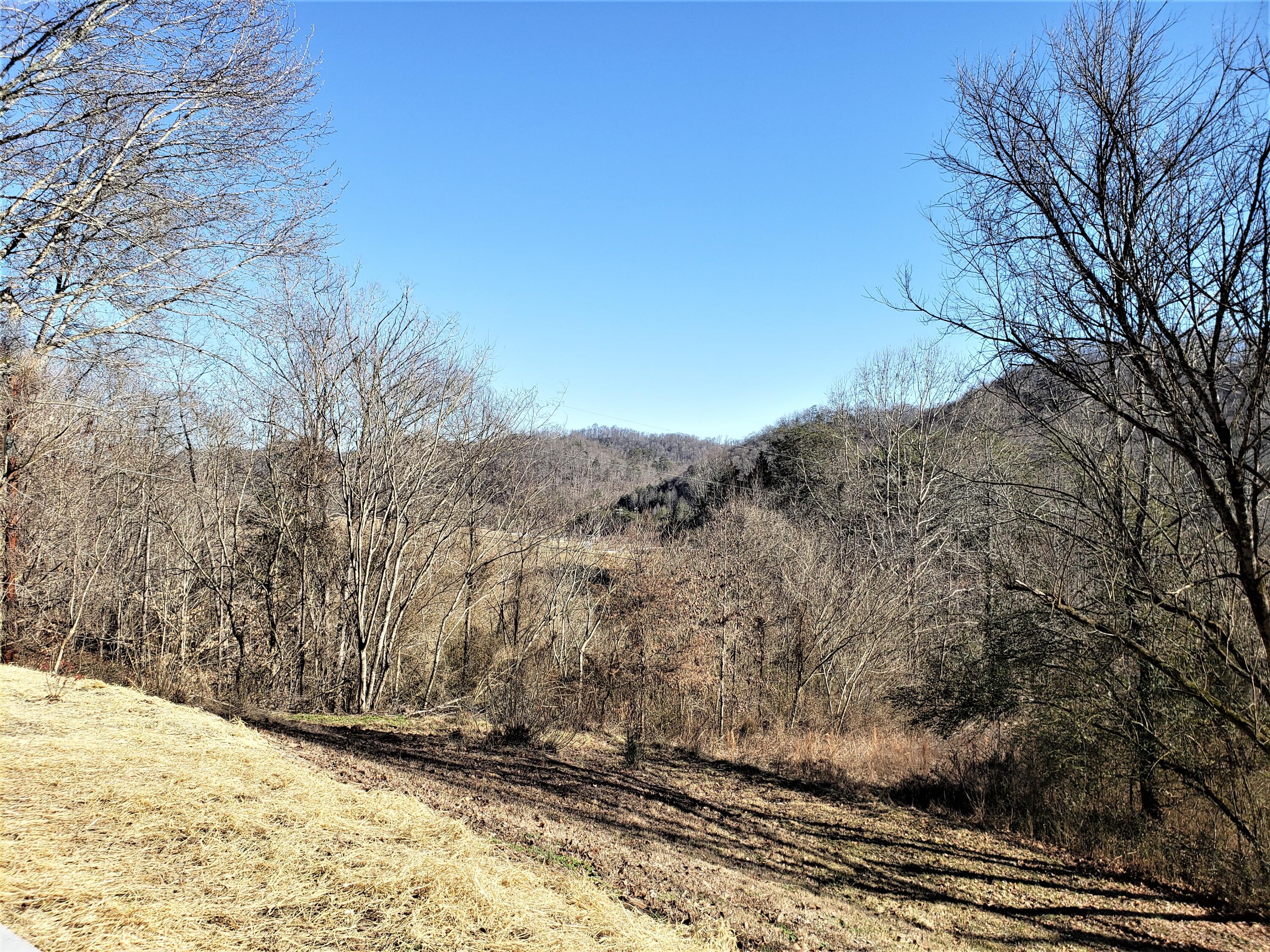 228 Buttry Drive Sneedville, TN 37869 - Photo 23 of 26 23