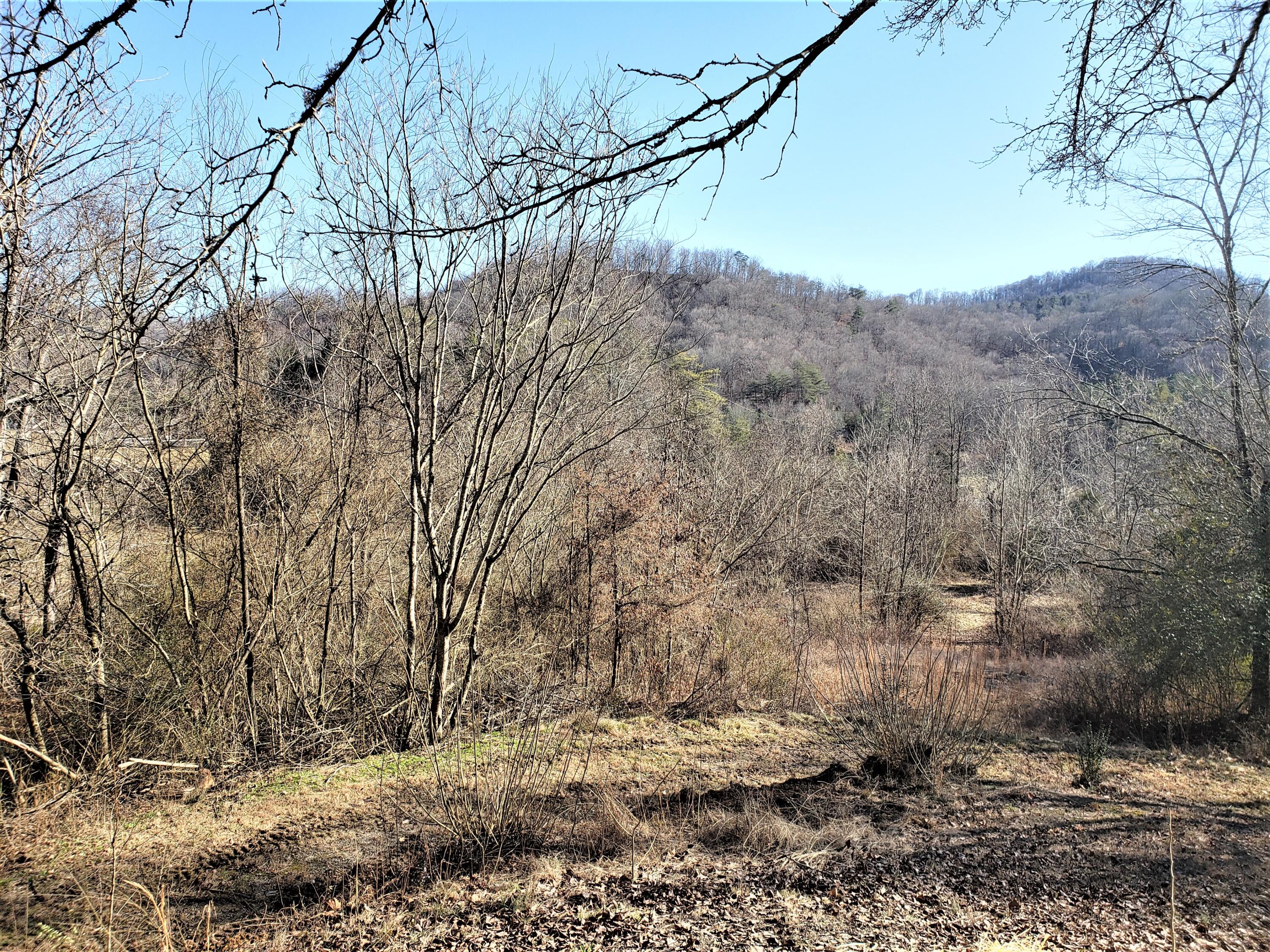 228 Buttry Drive Sneedville, TN 37869 - Photo 25 of 26 25