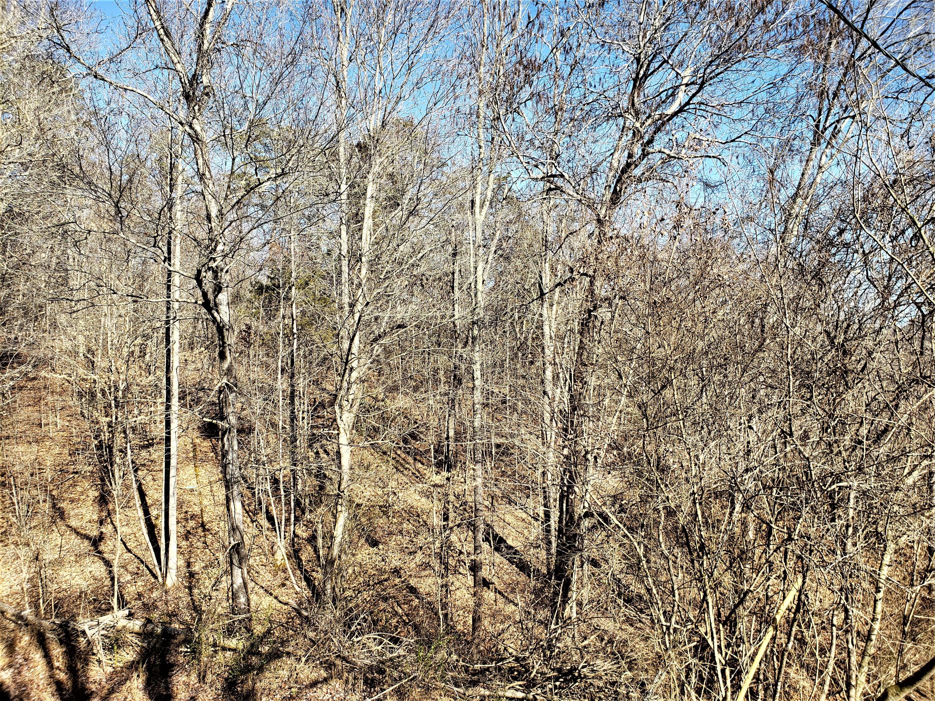 228 Buttry Drive Sneedville, TN 37869 - Photo 26 of 26 26