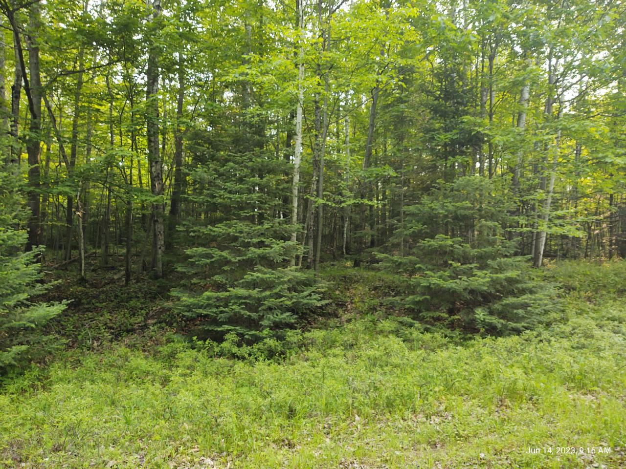 St-715 Birch Ridge W Road Rhinelander, WI 54501 - Photo 15 of 16 Gallery Image 15