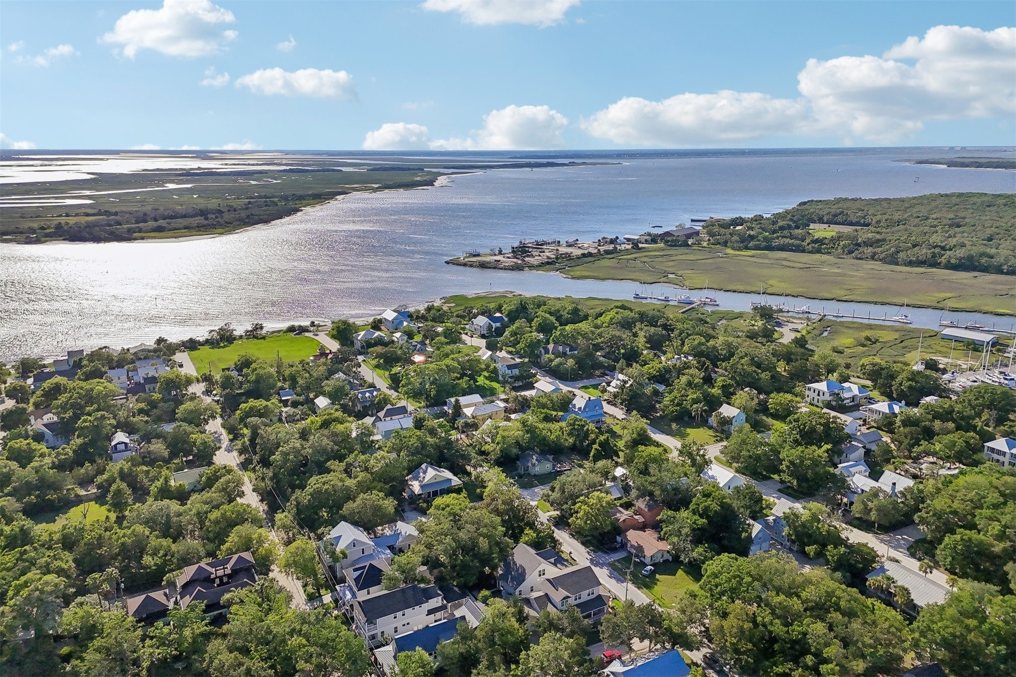 1012 White Street Fernandina Beach, FL 32034 - Photo 3 of 35 a view of an ocean and beach