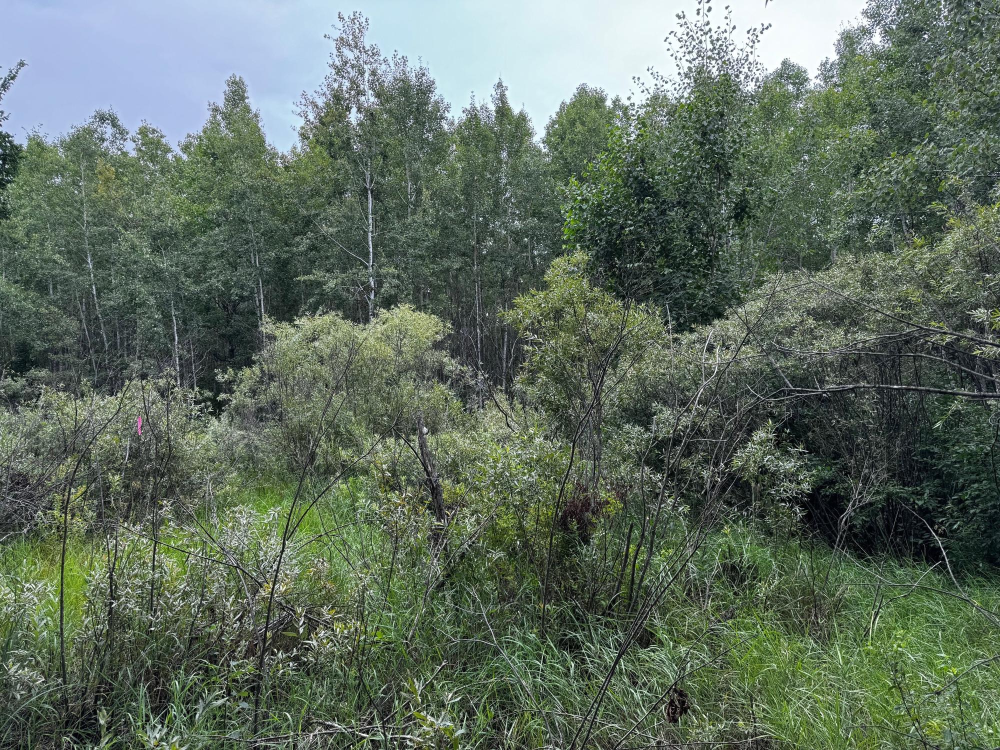 0 Pine Lake Road, Unit LOT 1 Tripoli, WI 54564 - Photo 13 of 16 Gallery Image 13