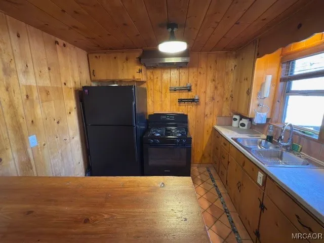 a kitchen with a refrigerator and a sink