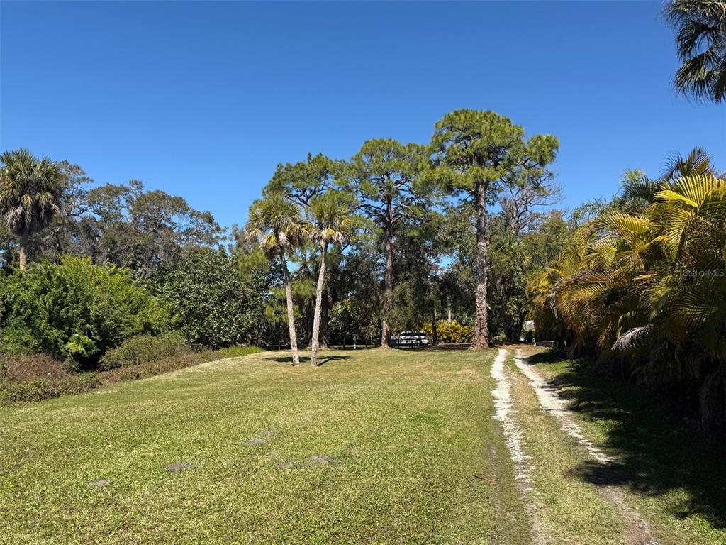 2149 Wason Road Sarasota, FL 34231 - Photo 32 of 32 a big yard with large trees