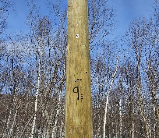 Lot 9 East Moose Alley Road Temple, ME 04984 - Photo 12 of 46