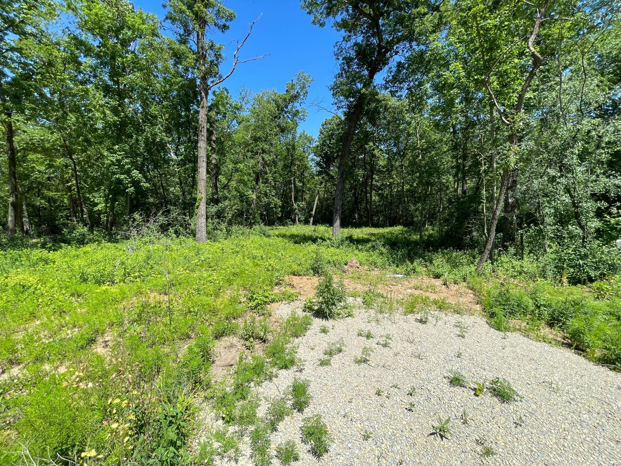 3630 Trophy Woods Lane Southwest Rochester, MN 55902 - Photo 1 of 1 Gallery Image 1