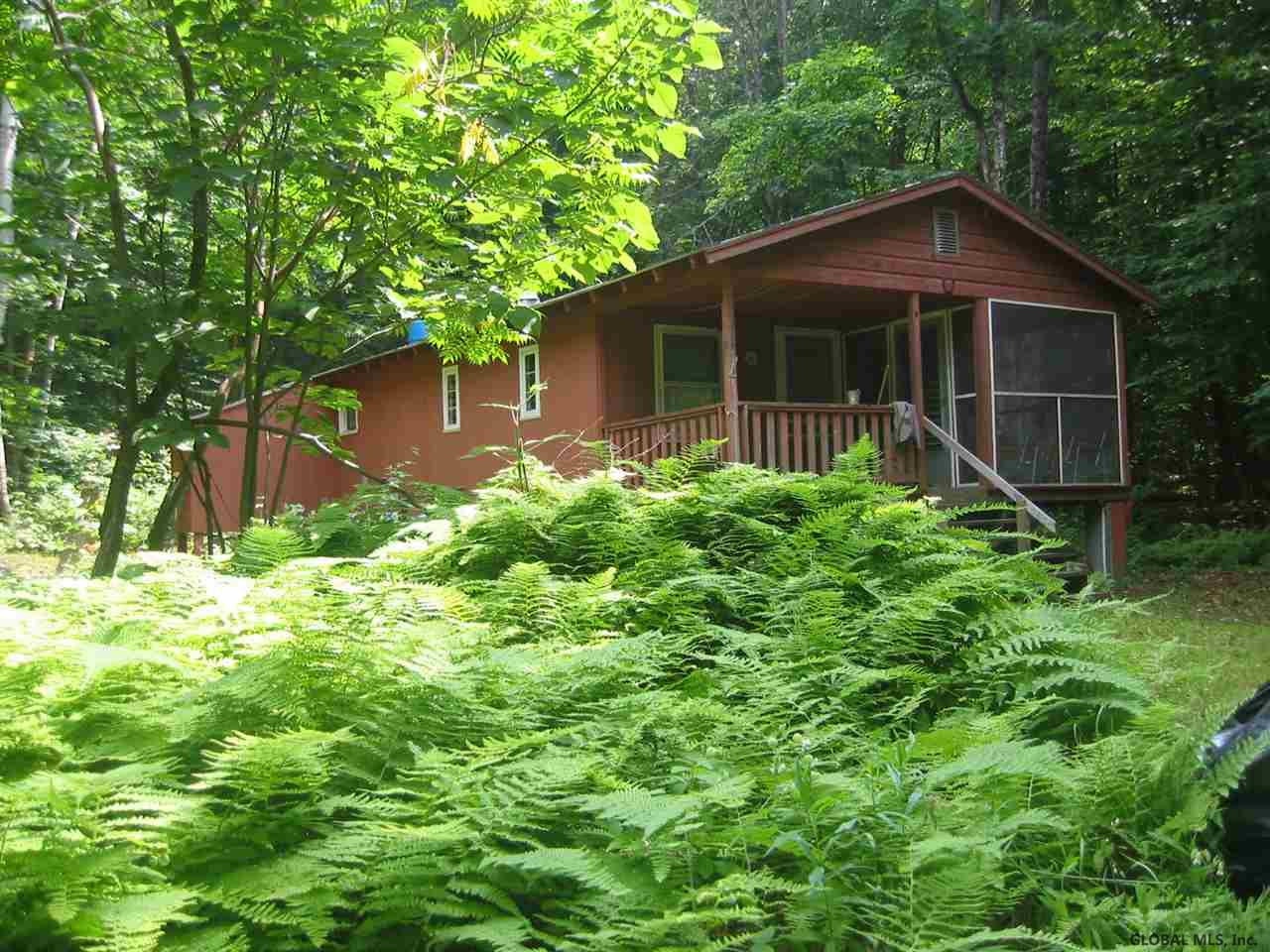 721 River Road Johnsburg, NY 12862 - Photo 2 of 25 Photo 2