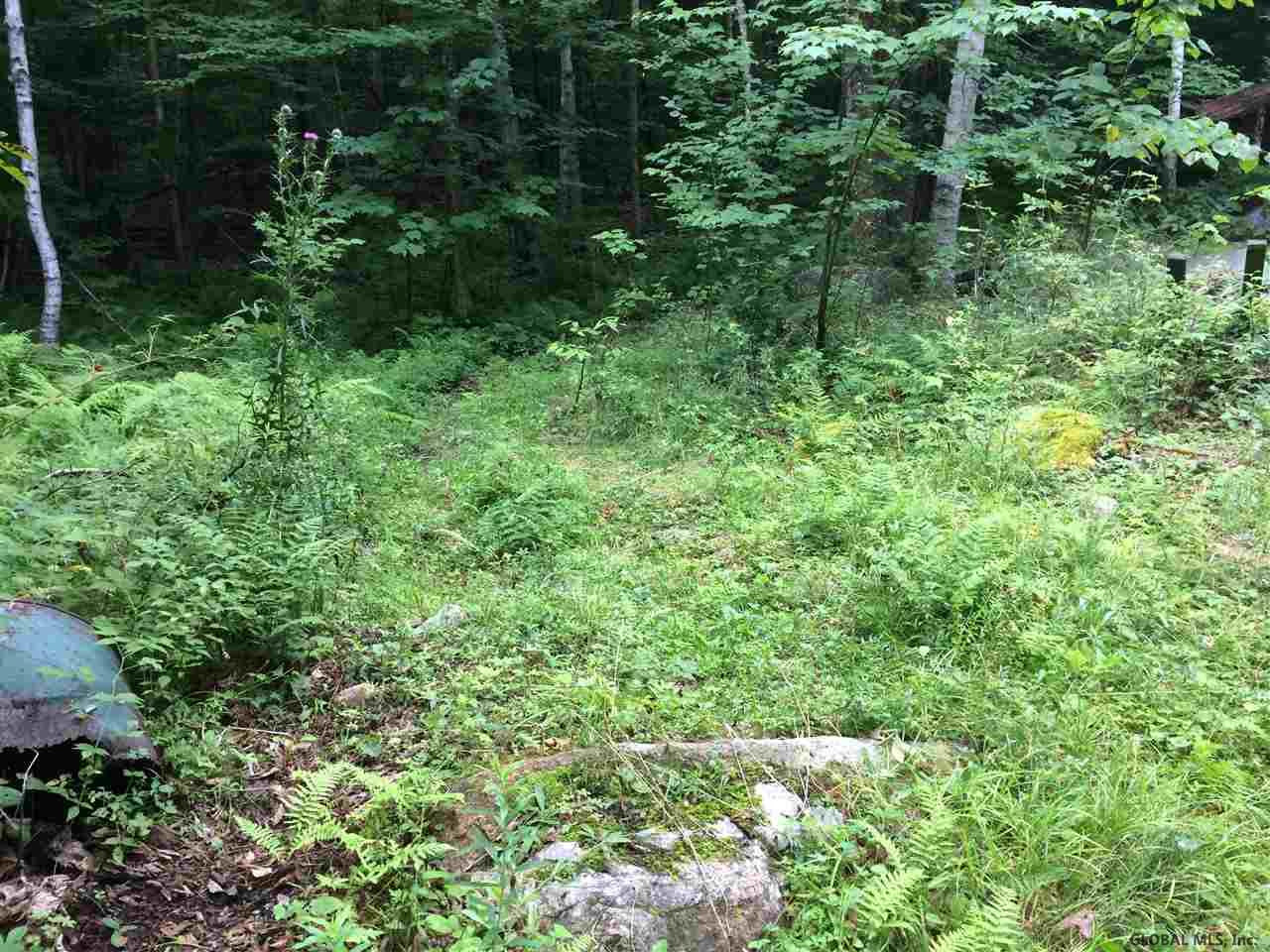 721 River Road Johnsburg, NY 12862 - Photo 22 of 25 Photo 22