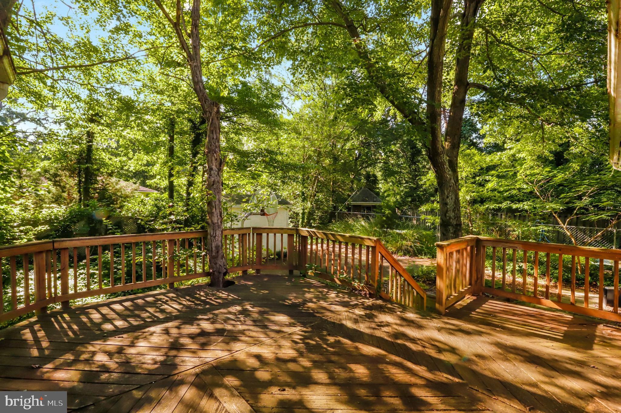 6519 Hackberry Street Springfield, VA 22150 - Photo 35 of 39