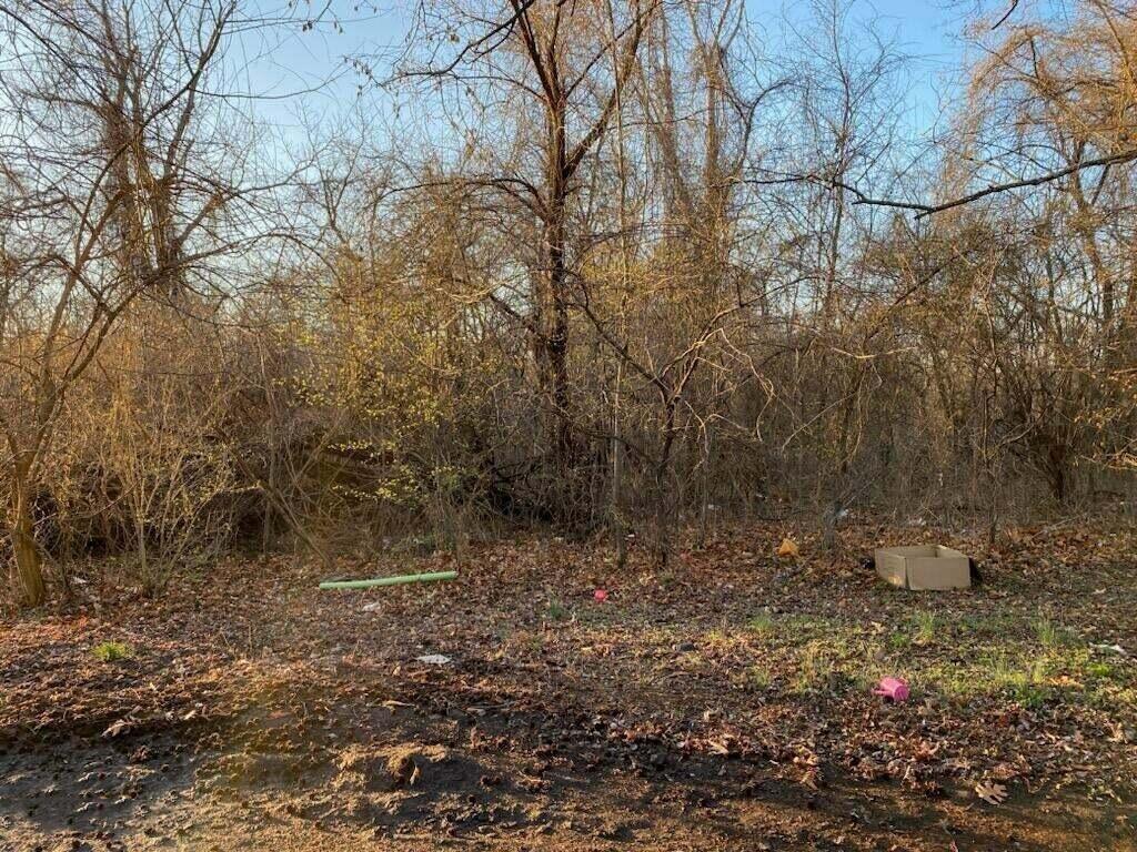 Xx North Ozark Avenue Joplin, MO 64801 - Photo 1 of 4