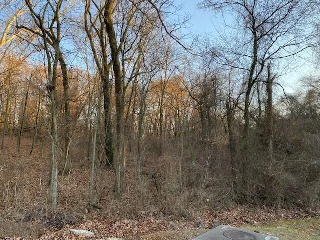 $34,000 | Xx North Ozark Avenue, Joplin, MO 64801