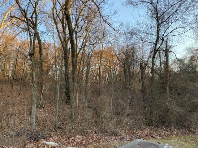 Xx North Ozark Avenue Joplin, MO 64801 - Photo 2 of 4