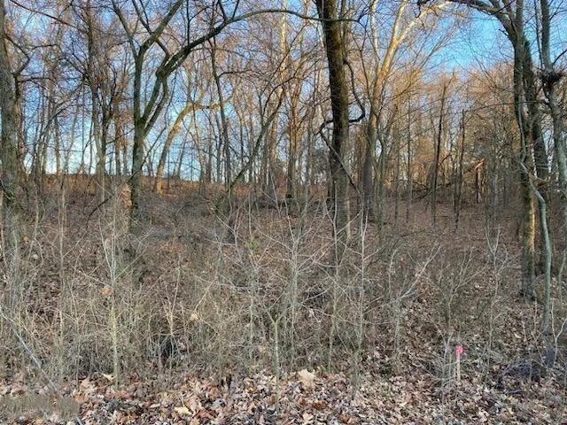 $34,000 | Xx North Ozark Avenue, Joplin, MO 64801