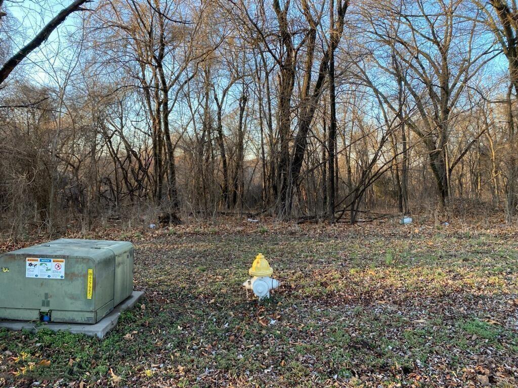 Xx North Ozark Avenue Joplin, MO 64801 - Photo 4 of 4