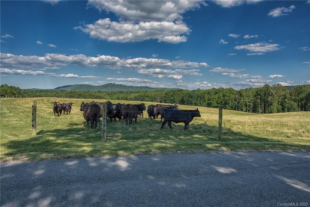 1521 Cedar Forest Road Ronda, NC 28670 - Photo 26 of 42 Gallery Image 26