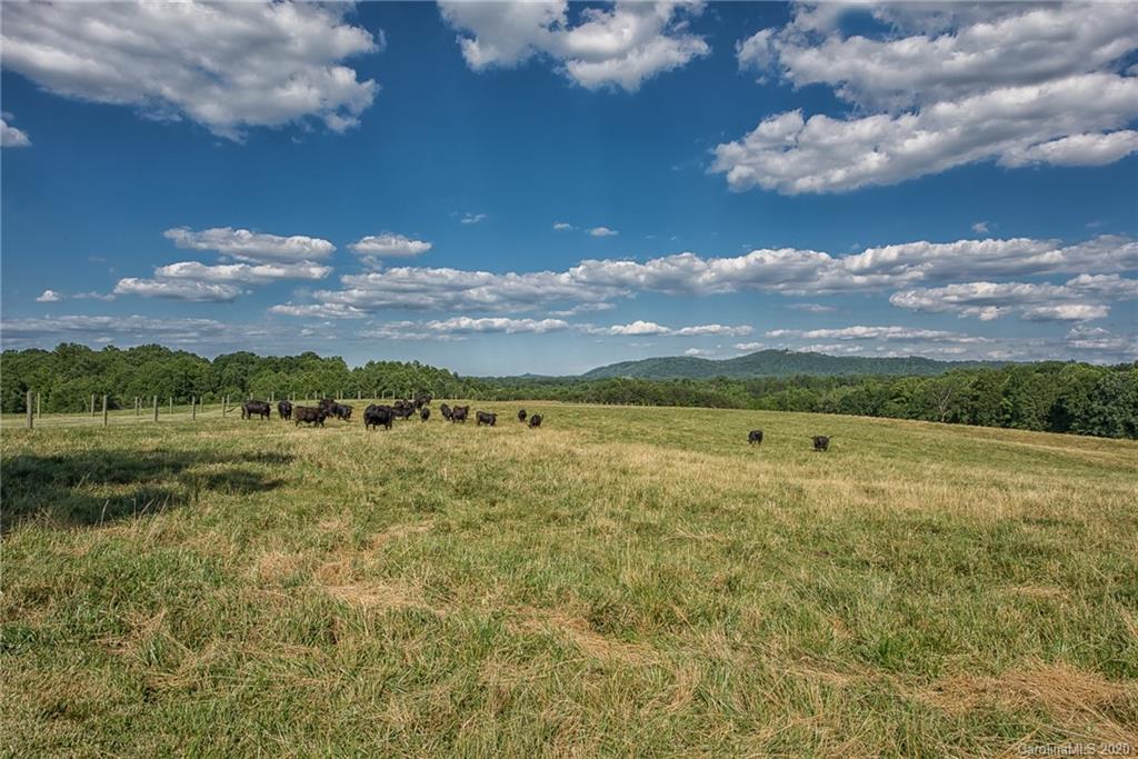 1521 Cedar Forest Road Ronda, NC 28670 - Photo 6 of 42 Gallery Image 6
