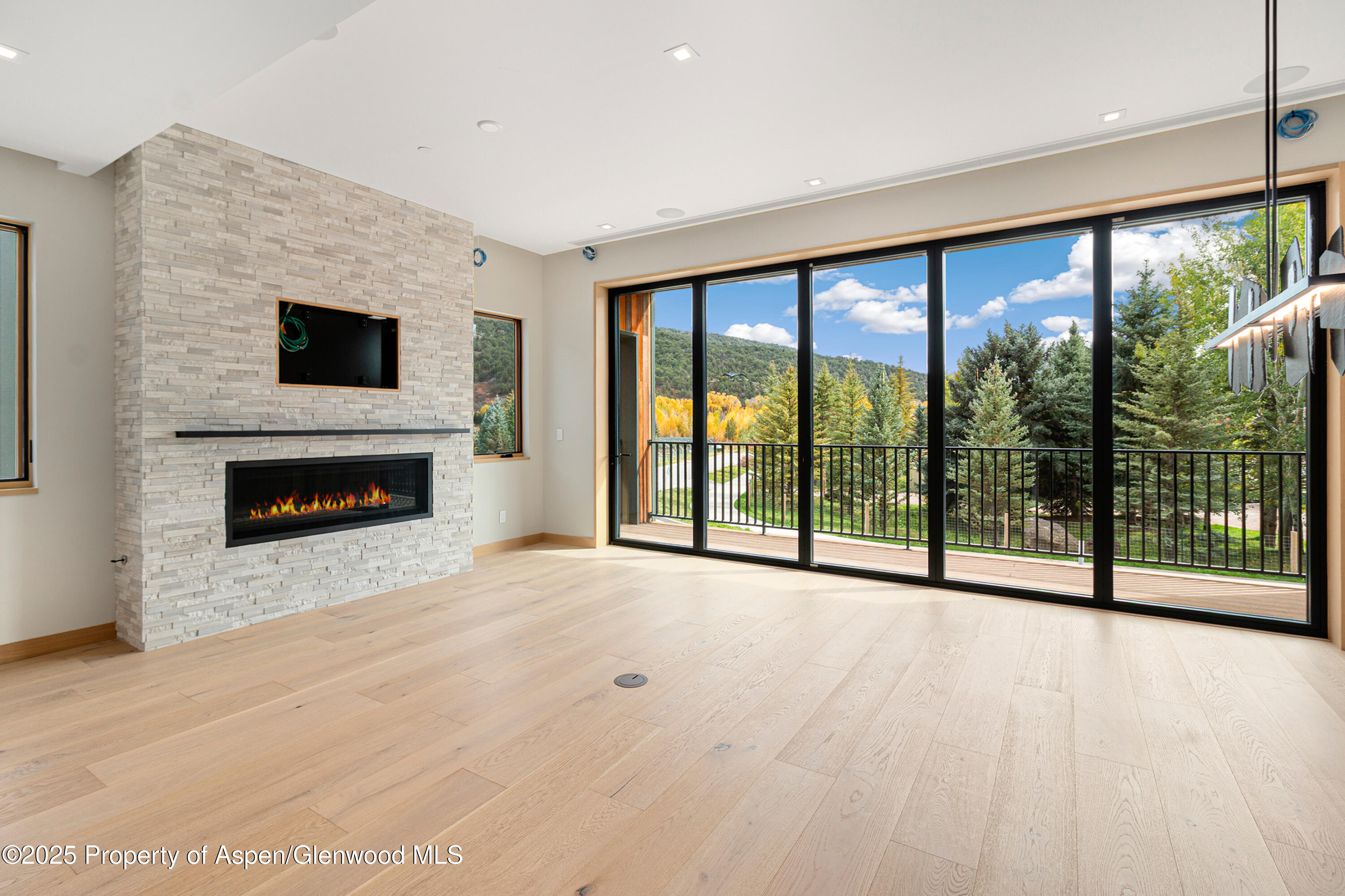 155 Lakeview Drive Basalt, CO 81621 - Photo 13 of 93 Living-Closed