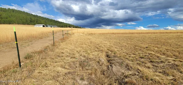 $244,000 | Sunny Slopes Road, Worley, ID 83876