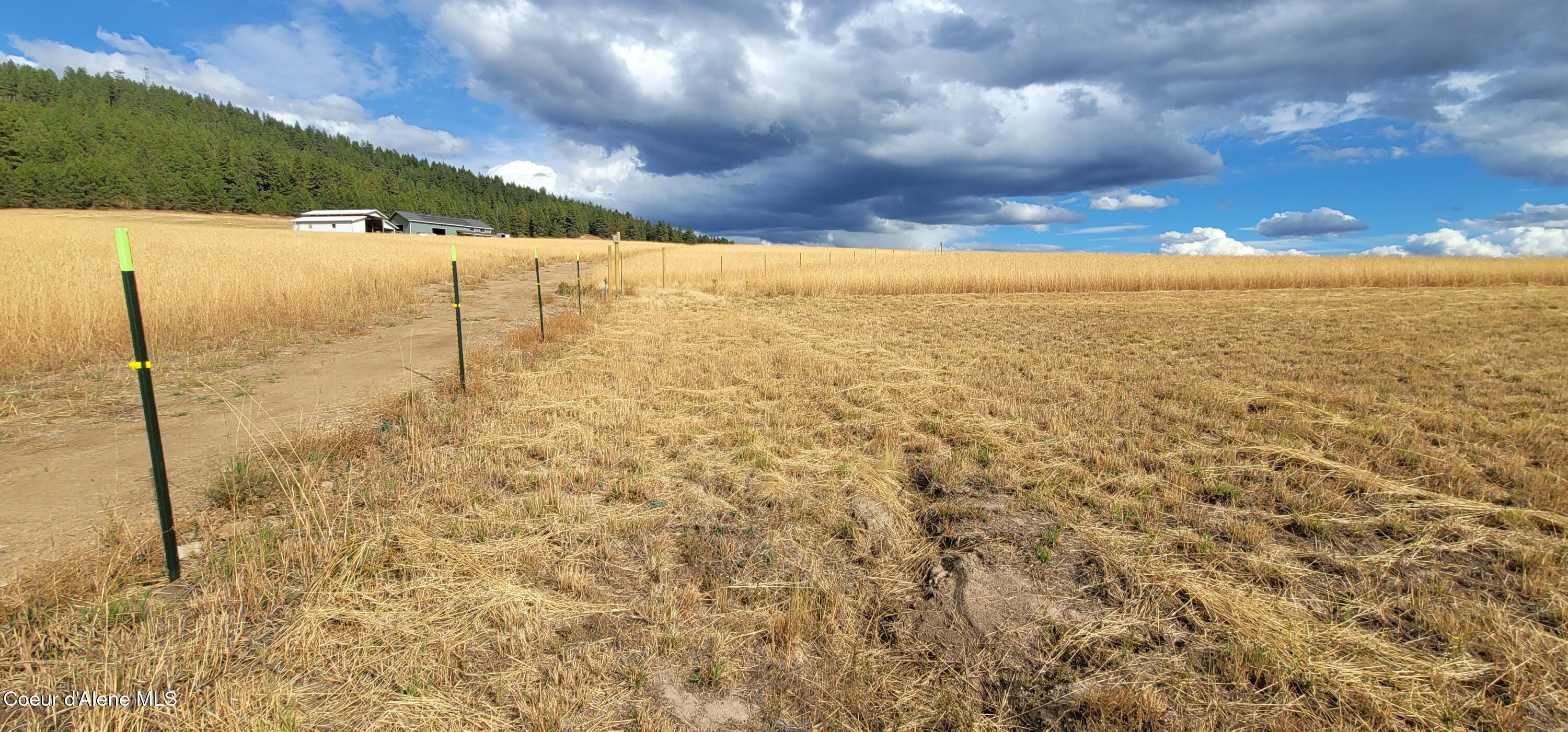 Sunny Slopes Road Worley, ID 83876 - Photo 12 of 16 North East Corner
