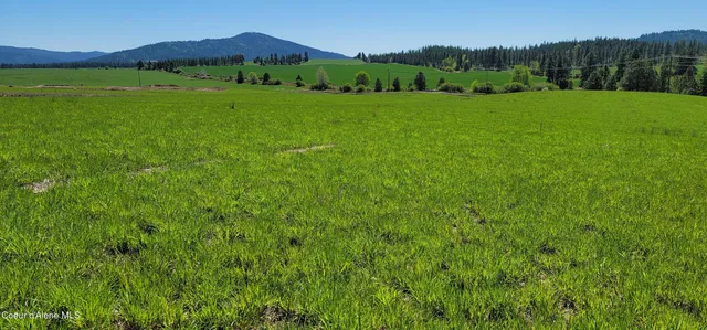 $244,000 | Sunny Slopes Road, Worley, ID 83876