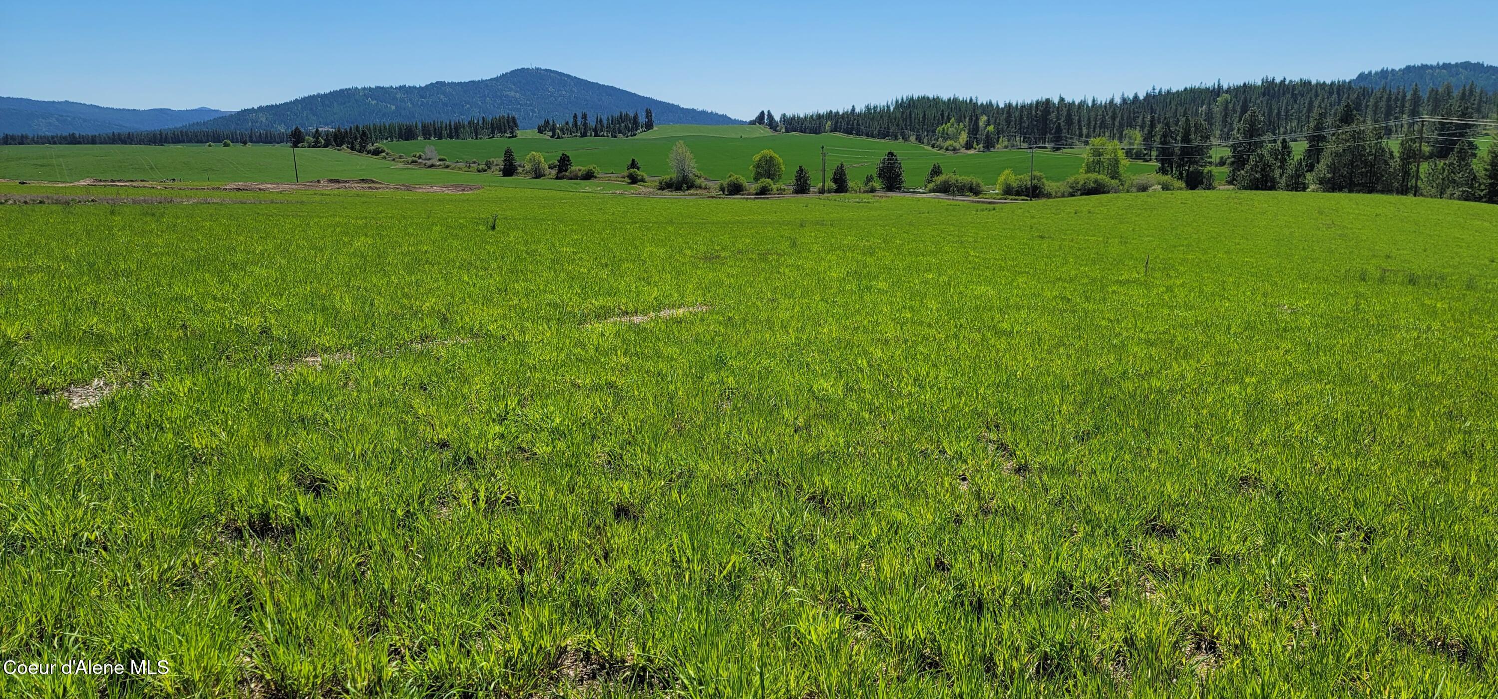Sunny Slopes Road Worley, ID 83876 - Photo 3 of 16 Close Up South