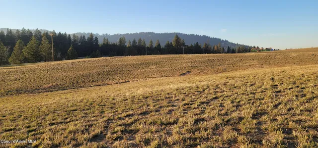 $244,000 | Sunny Slopes Road, Worley, ID 83876