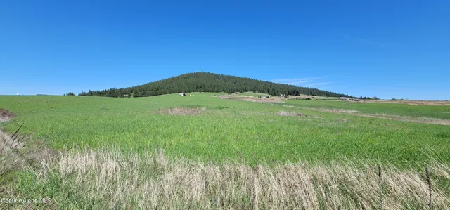 $244,000 | Sunny Slopes Road, Worley, ID 83876