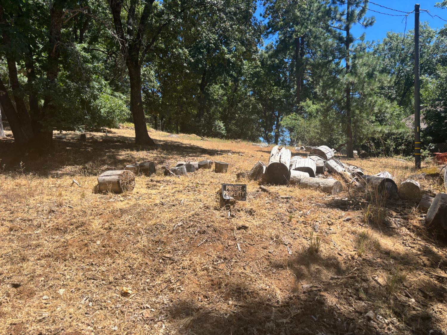 15574 Hinton Road Pioneer, CA 95666 - Photo 12 of 44