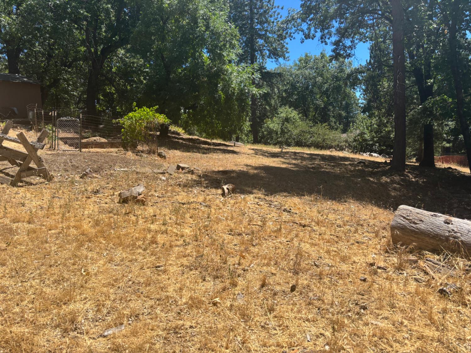 15574 Hinton Road Pioneer, CA 95666 - Photo 17 of 44 a view of a yard with plants and trees