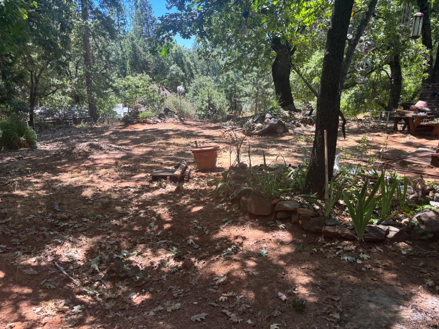 15574 Hinton Road Pioneer, CA 95666 - Photo 28 of 44