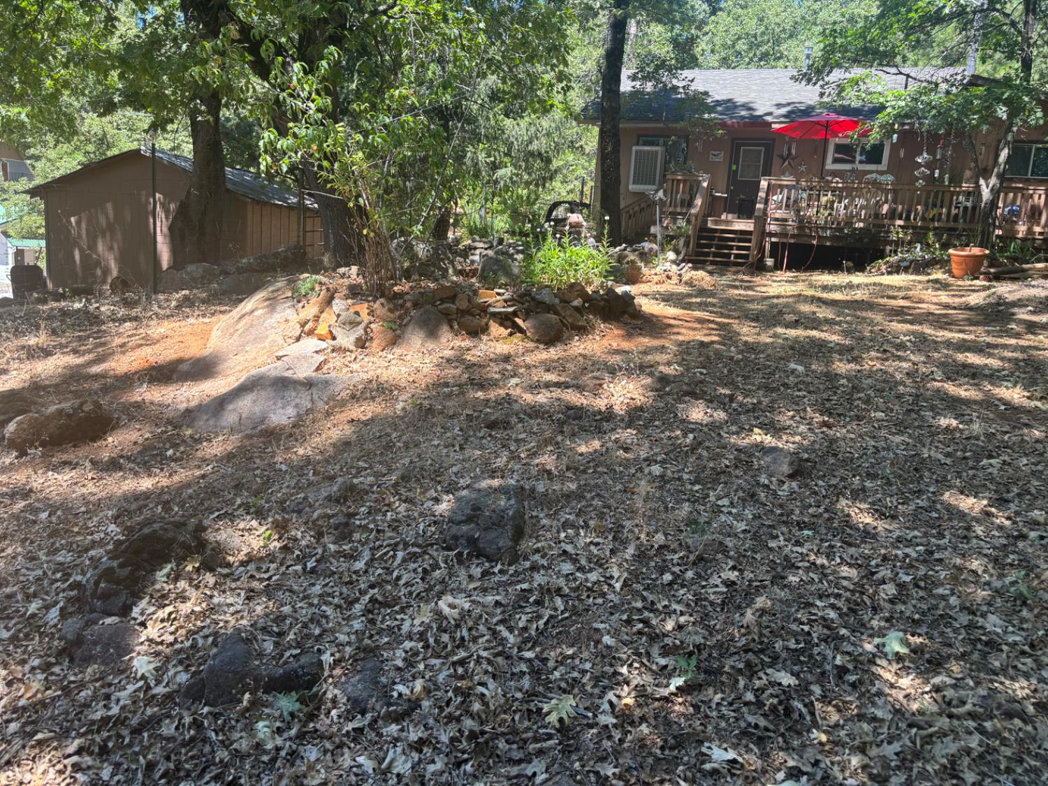 15574 Hinton Road Pioneer, CA 95666 - Photo 31 of 44 a view of street and with trees