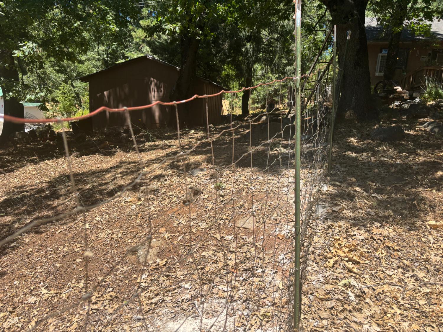 15574 Hinton Road Pioneer, CA 95666 - Photo 33 of 44 a backyard of a house with lots of green space