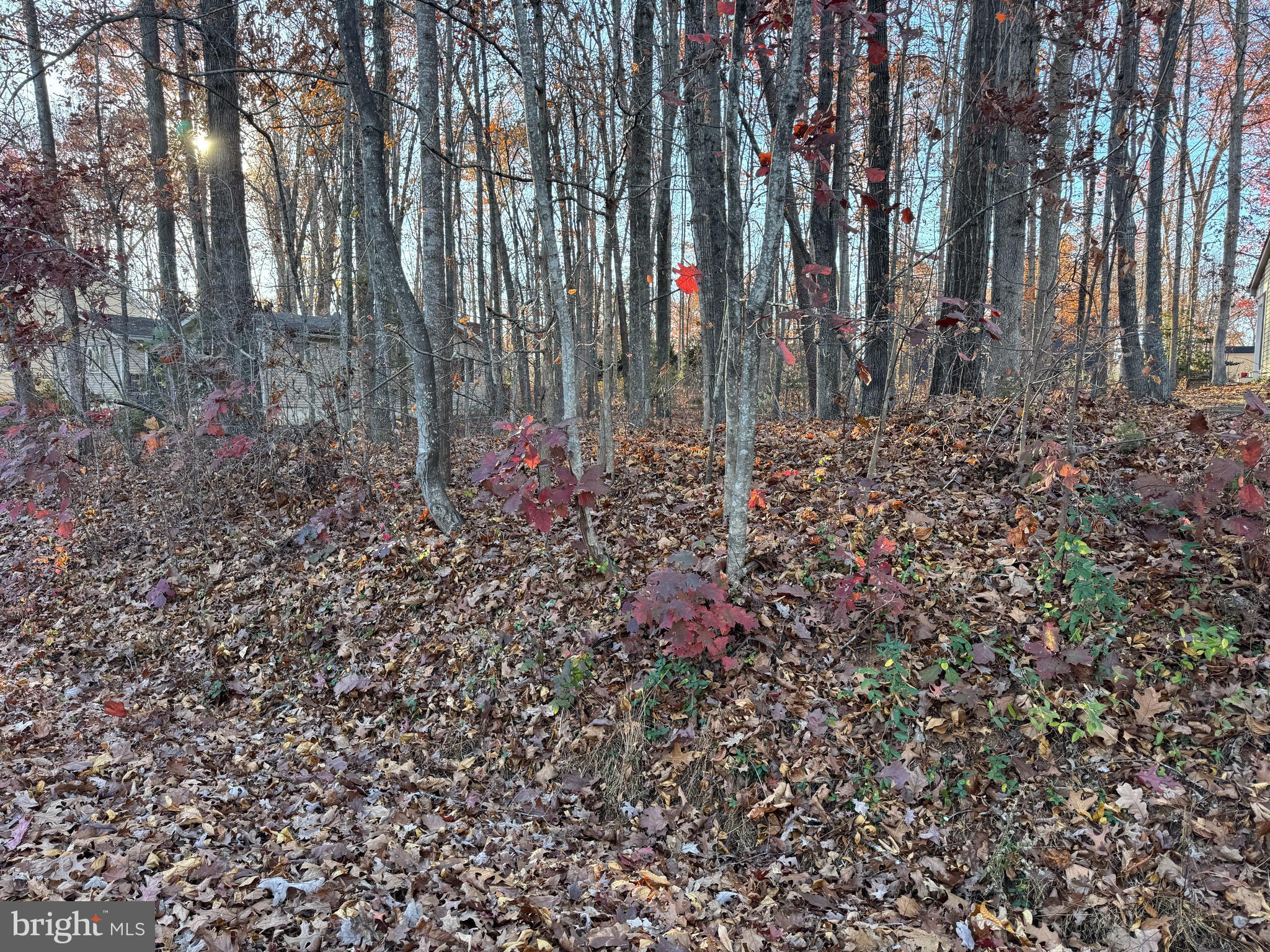 106 Monument Road Locust Grove, VA 22508 - Photo 2 of 19 a view of garden