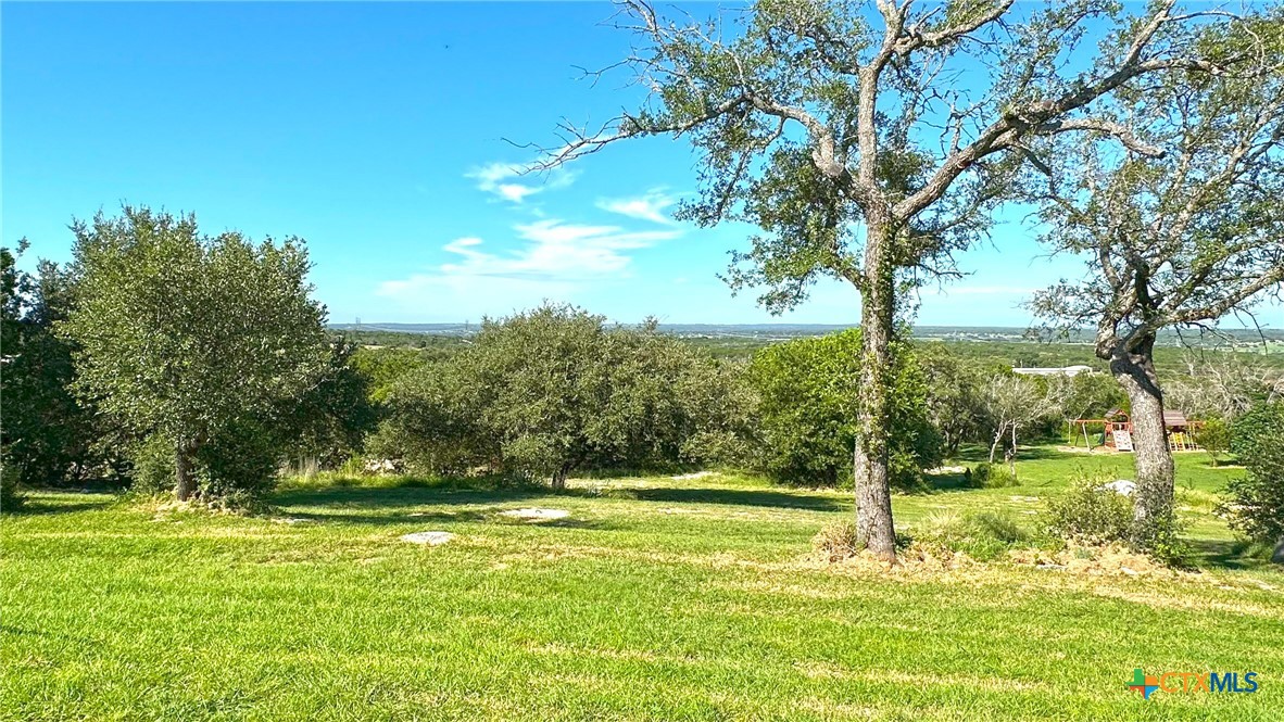 729 Armadillo Lane Kempner, TX 76539 - Photo 41 of 45 a view of a yard with a tree
