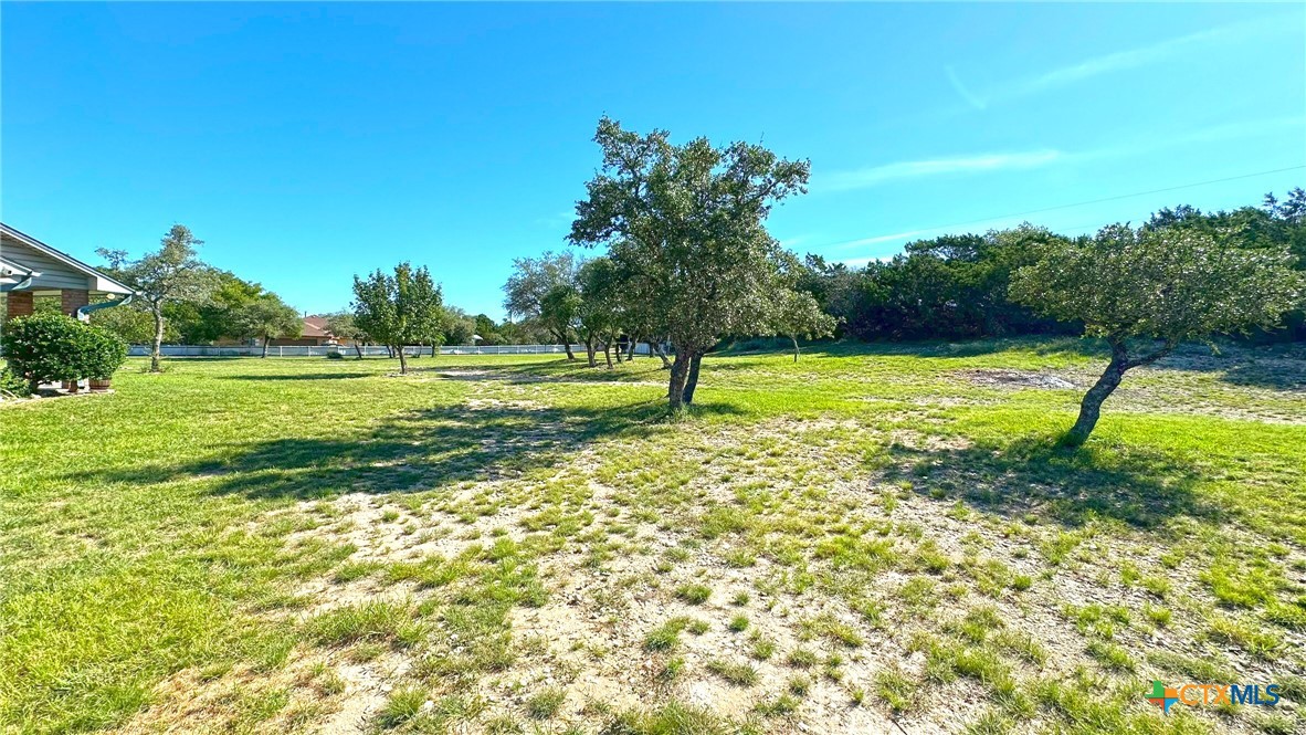 729 Armadillo Lane Kempner, TX 76539 - Photo 42 of 45 a view of a golf course with a lake