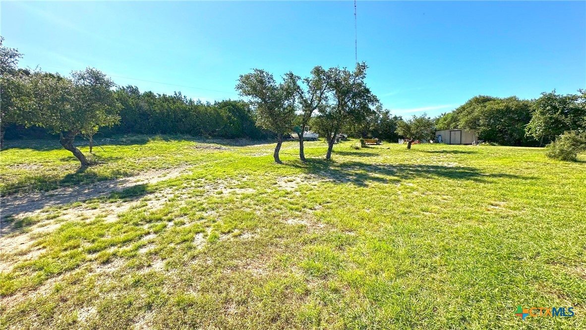 729 Armadillo Lane Kempner, TX 76539 - Photo 43 of 45 a swimming pool with trees in the background