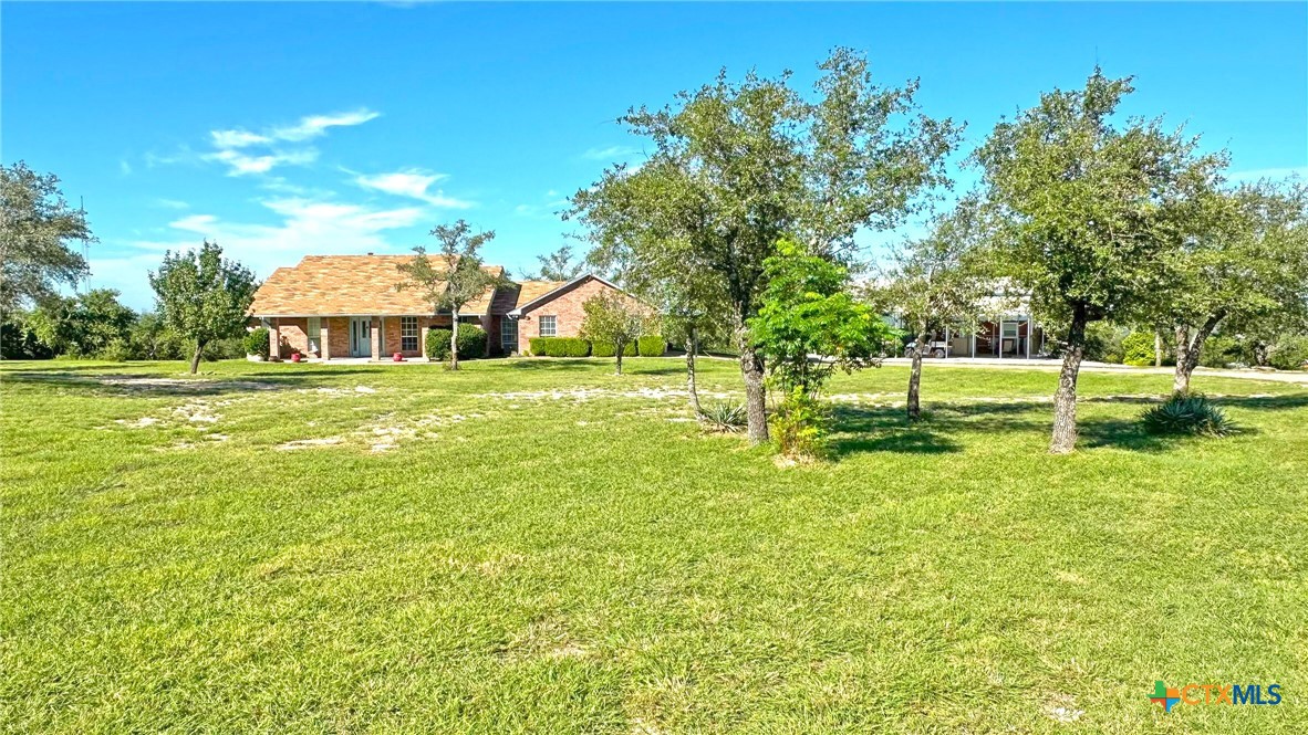 729 Armadillo Lane Kempner, TX 76539 - Photo 44 of 45 a view of a big yard with palm trees