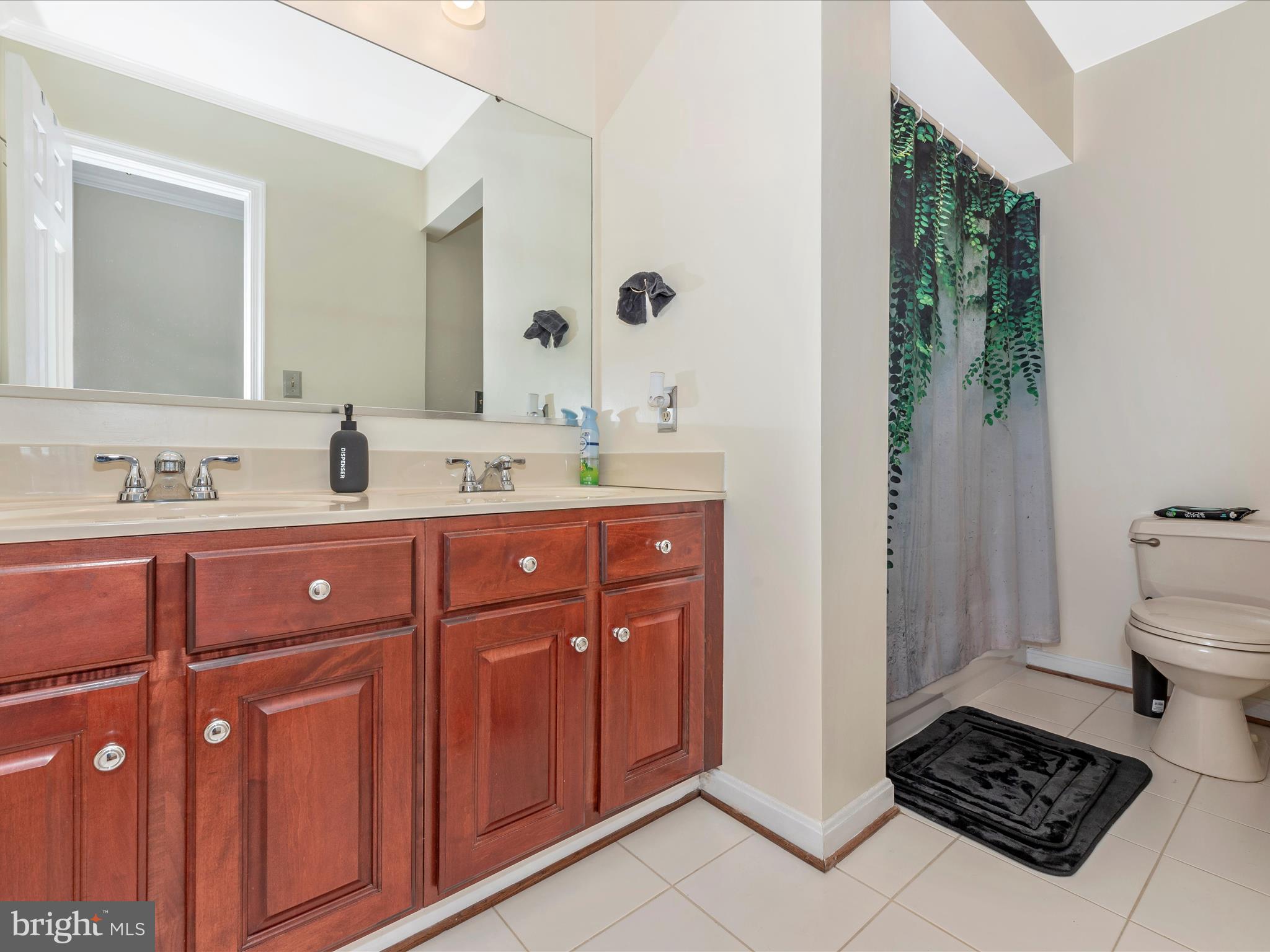 5925 Cabbage Spring Road Mount Airy, MD 21771 - Photo 40 of 66 Hall Bathroom