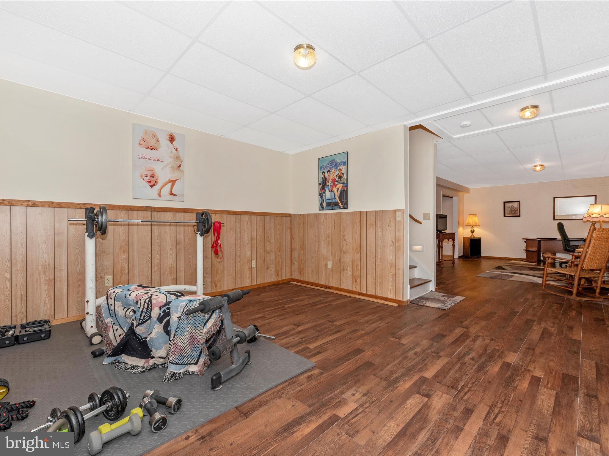 5925 Cabbage Spring Road Mount Airy, MD 21771 - Photo 42 of 66 Finished Lower Level